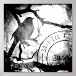 Bird on A Branch Monochrome posters