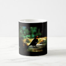 "Bird On a Walk" Mug