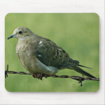 "Bird on a Wire" Dove Mouse Pad
