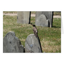 Bird On Boston Tombstone Greeting Card