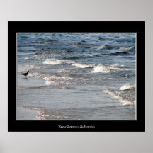 Bird on the Beach Print