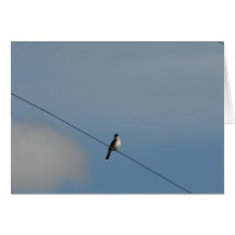 Bird on Wire Greeting Cards