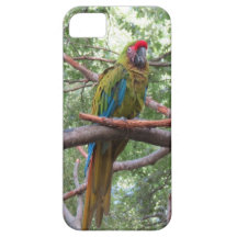 bird phone case iPhone 5 cases