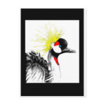 BIRD POSTCARDS