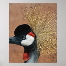 Bird Posters