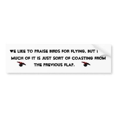 bird quote bumper sticker by MaximsAndMore