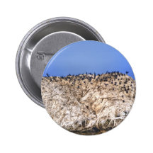 Bird Rock Pins