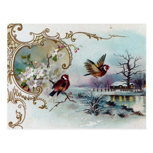 Bird Scene Post Cards