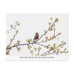 Bird Singing a Happy Song Postcard