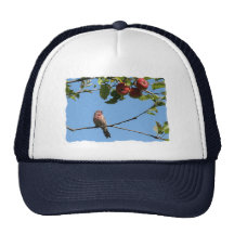 Bird Singing in an Apple Tree Hats