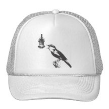 BIRD SINGING / PAJARO CANTANDO GORRAS