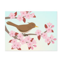 Bird sitting in a cherry blossom tree postcard