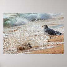 bird splash print