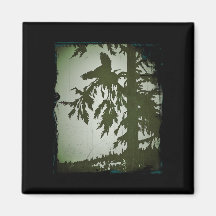 Bird Squawking in a Tree Refrigerator Magnets