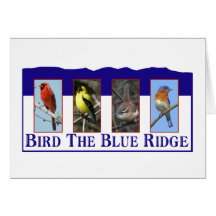 Bird the Blue Ridge Greeting Card