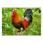 Bird - The Rooster Card