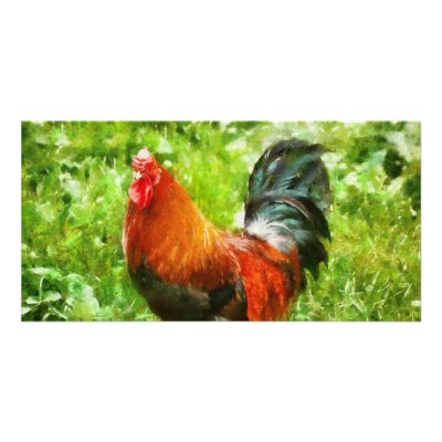 Bird - The Rooster Photo Greeting Card by suburbanscenes