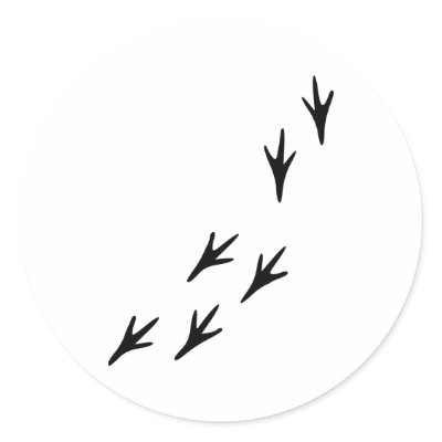 Bird - Tracks by Thinkdifferent