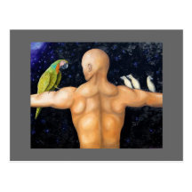 Bird Trainer Postcard