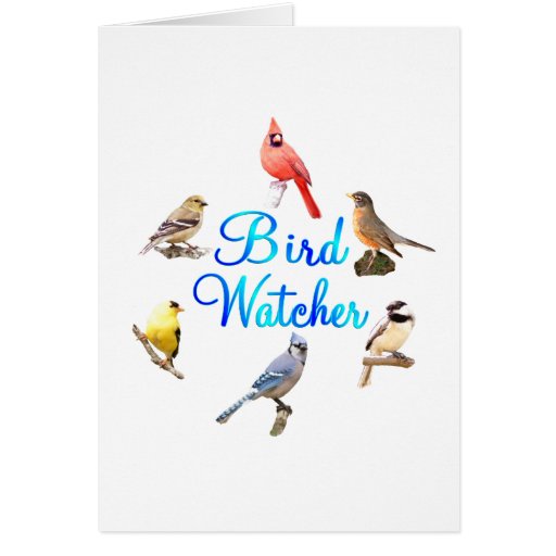 Bird Watcher Cards