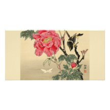 Bird watching a butterfly photo card template