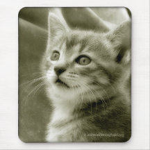 Bird Watching Mousepad