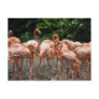Bird watching post card