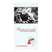 Bird with Scarf Christmas Photocards Photo Cards