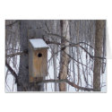 Birdhouse cards