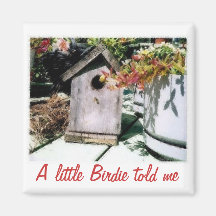 Birdhouse Fridge Magnet