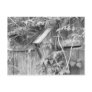 Birdhouse in Spring Post Cards