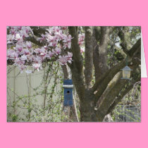 Birdhouse & Tulip Tree, Spring cards