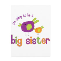 birdie big sister to be