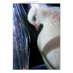 Birdie Boy - Angel Greeting Card
