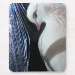 Birdie Boy - Angel Mousepad