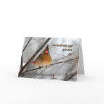 Birdie In The Blizzard - Anniversary Card