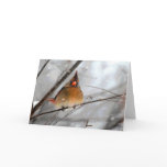 Birdie In The Blizzard - Blank Greeting Card