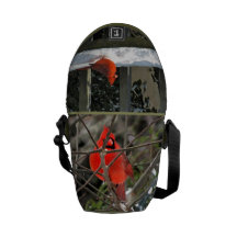 BIRDING BAG-BABYCARDINAL-LITTLEJEWELSERIES-ARA COURIER BAG