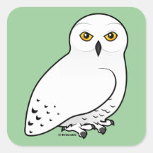 Birdorable Snowy Owl Square Stickers