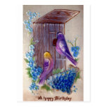 Birds and Bird House Vintage Birthday Postcard