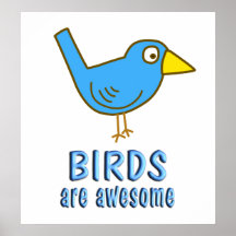 Birds are Awesome Posters