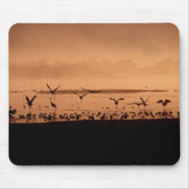 Birds at sunrise mousepads