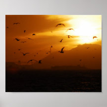 Birds at Sunset Poster