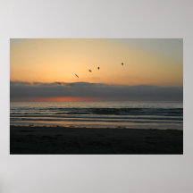 Birds at Sunset Poster
