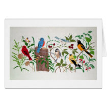Birds Cards
