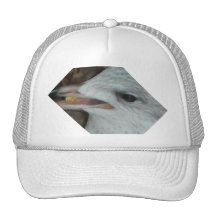 Birds Eye View Hat