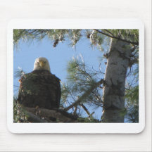 Birds Eye View Mouse Pads