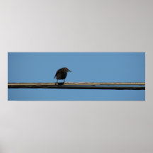 Birds Eye View Print