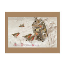 Birds Find Shelter in Lantern Vintage Christmas Postcards