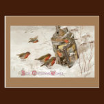 Birds Find Shelter in Lantern Vintage Christmas postcards